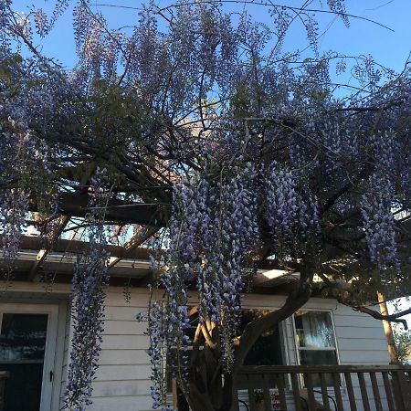 Wisteria Vine Cottage Monticello Kültér fotó